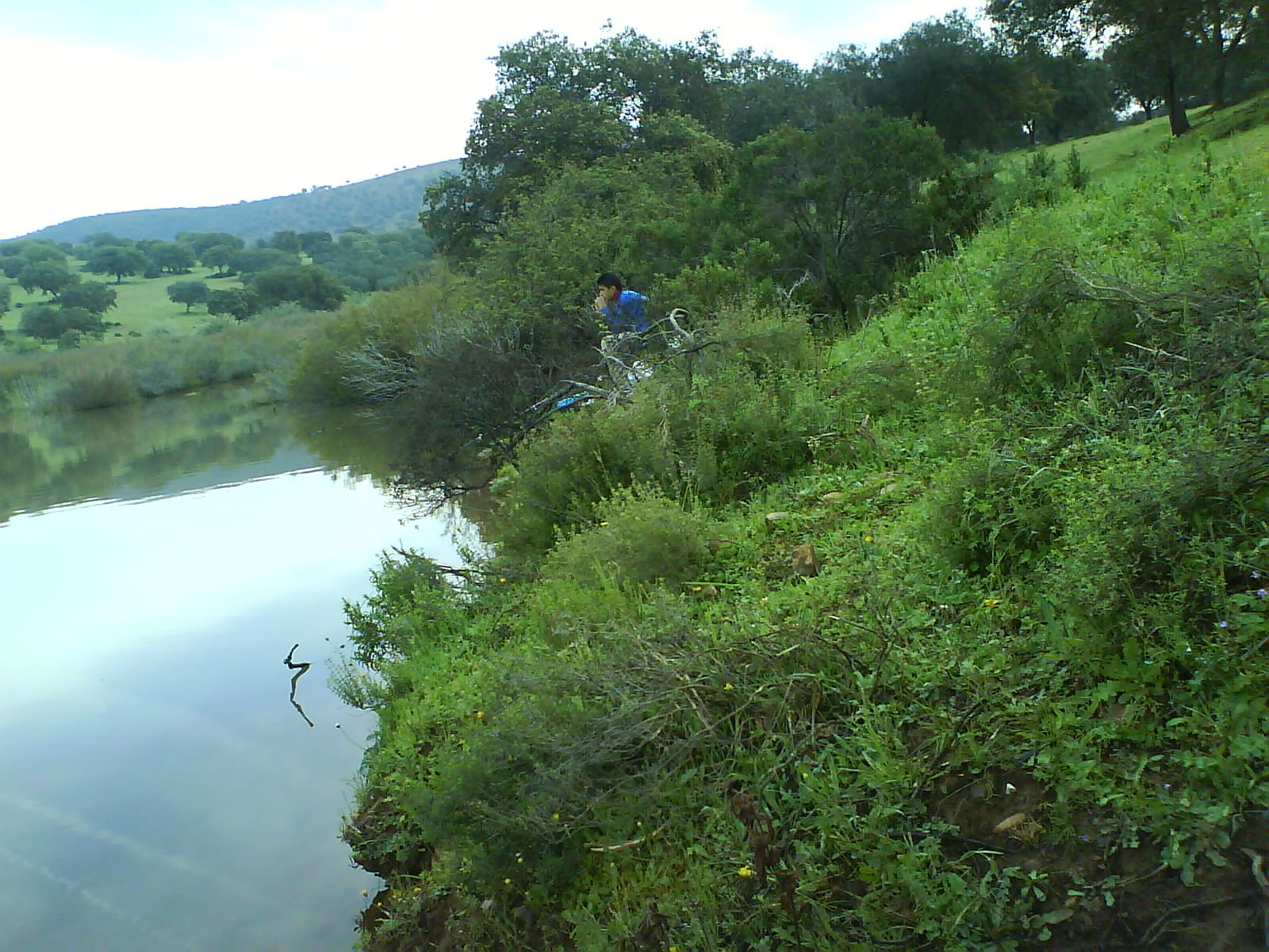 Pieza Mayor en El Vicario
